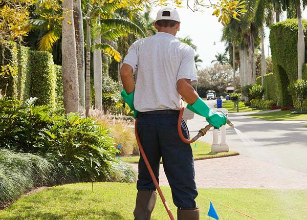 About Davilla TX Pest Control